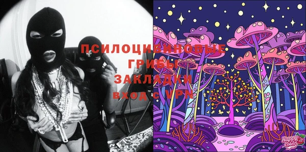 крисы Инсар