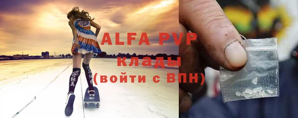 ГАЛЛЮЦИНОГЕННЫЕ ГРИБЫ Инта