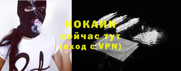 крисы Инсар