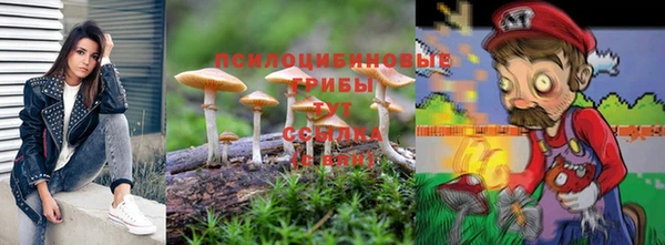 крисы Инсар