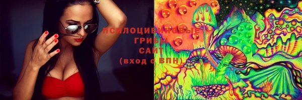 ГАЛЛЮЦИНОГЕННЫЕ ГРИБЫ Инта