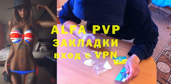 ГАЛЛЮЦИНОГЕННЫЕ ГРИБЫ Инта