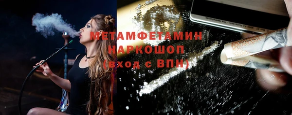 ГАЛЛЮЦИНОГЕННЫЕ ГРИБЫ Инта