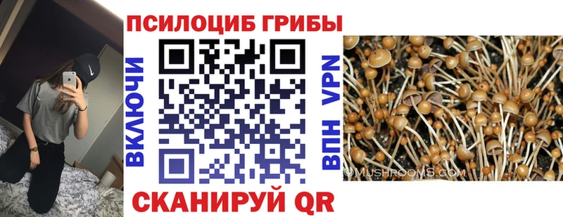 Псилоцибиновые грибы Psilocybine cubensis  Купить закладки  Хвалынск 